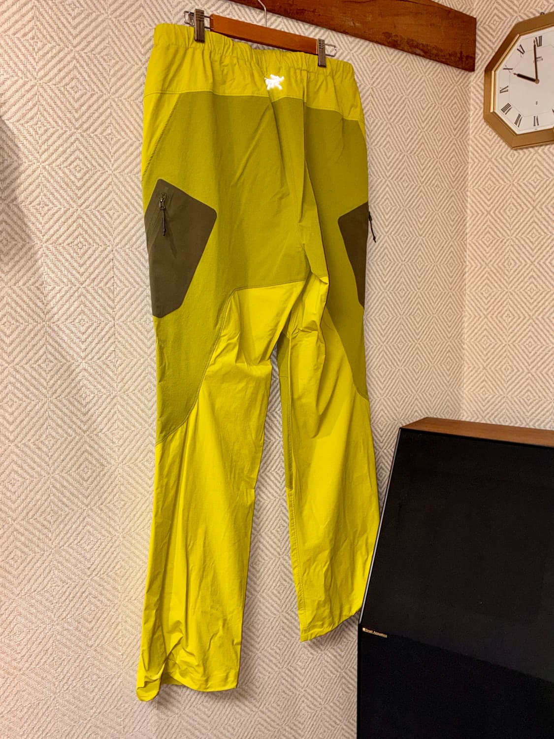 아크테릭스 시스템A 팬츠 테라리움 상품이미지2