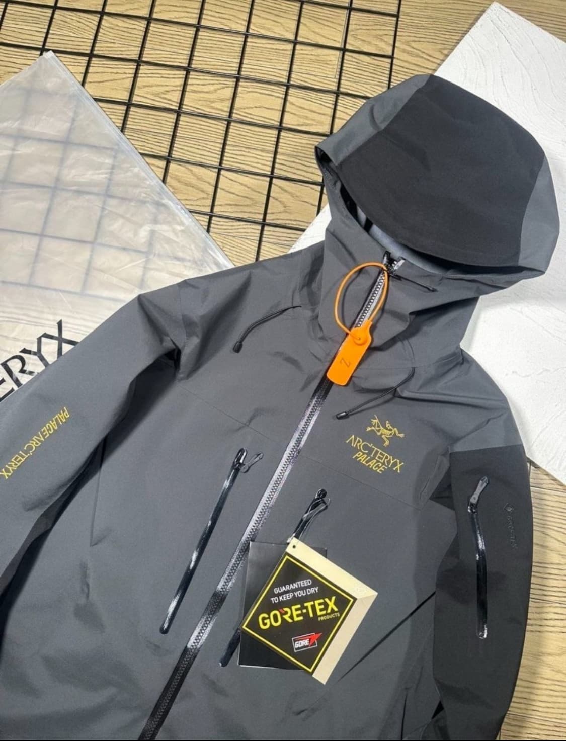 아크테릭스 팔라스 알파sv 상품이미지1