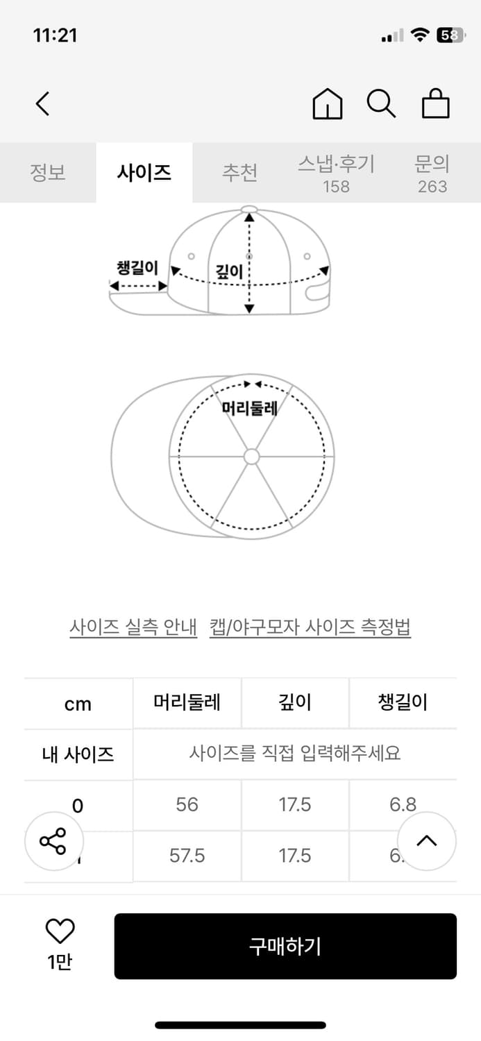 AE SYMBOL ANGEL WING CAP 1 [C AMO] 상품이미지7