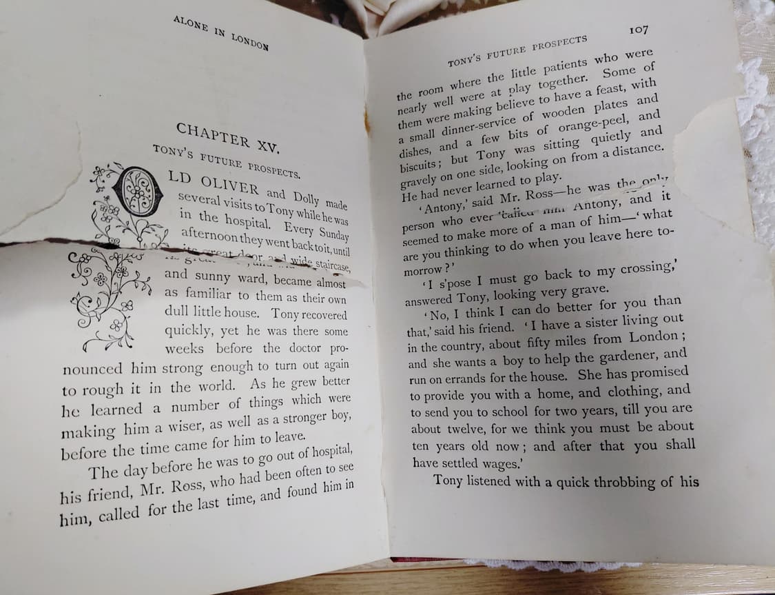 Antique) 1893년 아르누보시대 앤틱책 상품이미지7