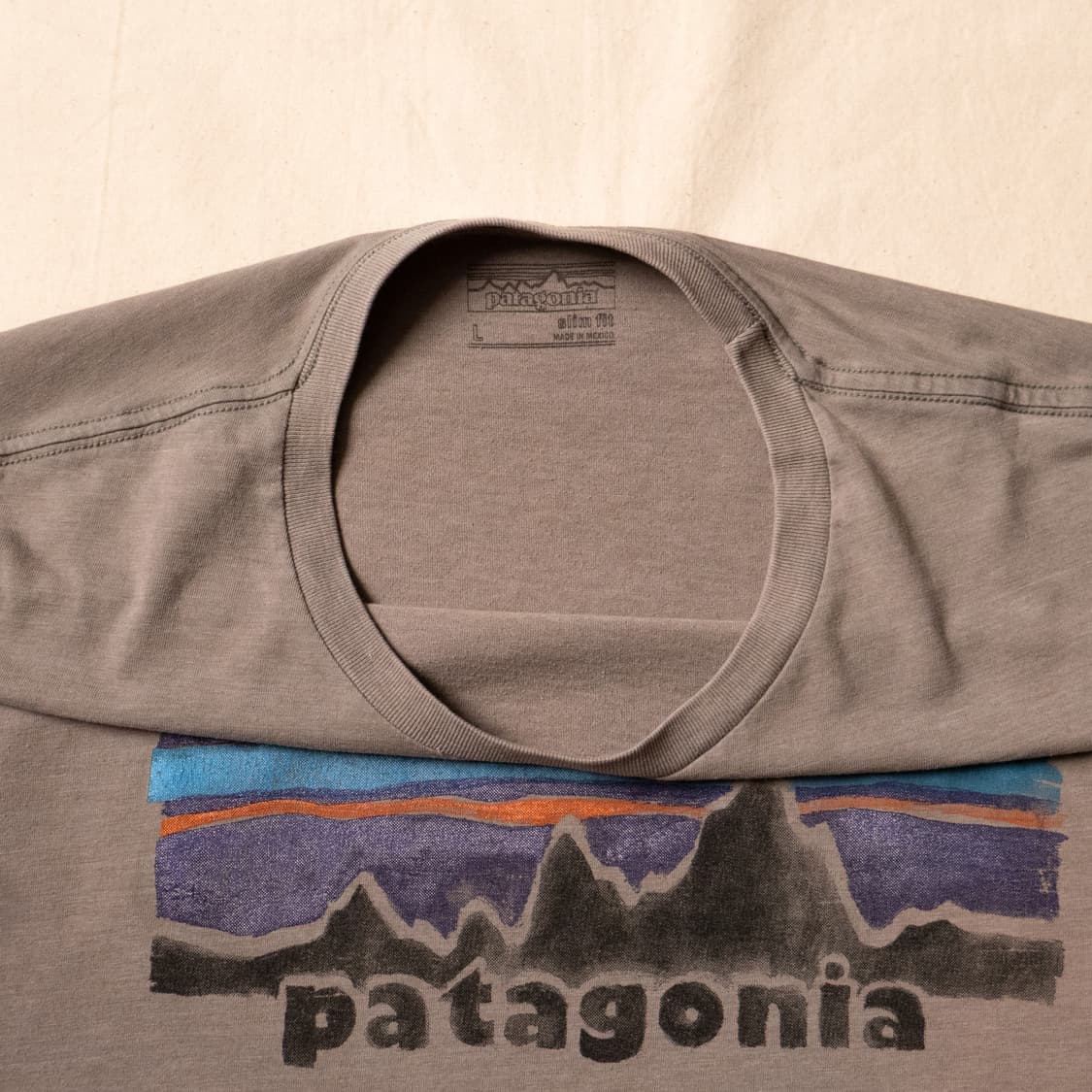 Patagonia ‘Archive Logo’ Paint Tee ~100 상품이미지2