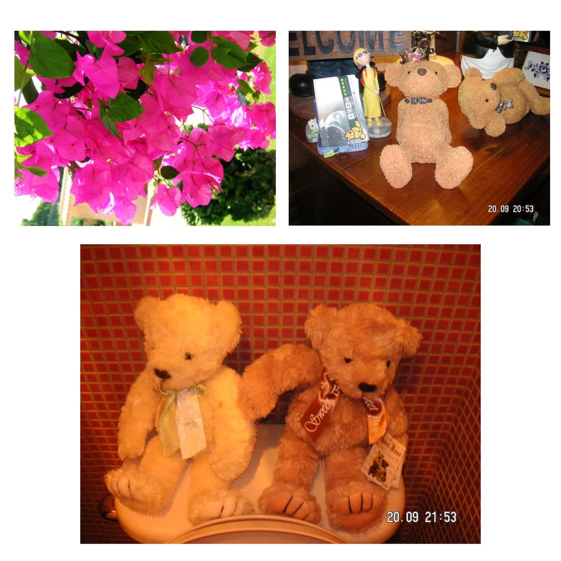 미놀타  dimage x50 (최상급 컨디션.) 상품이미지4