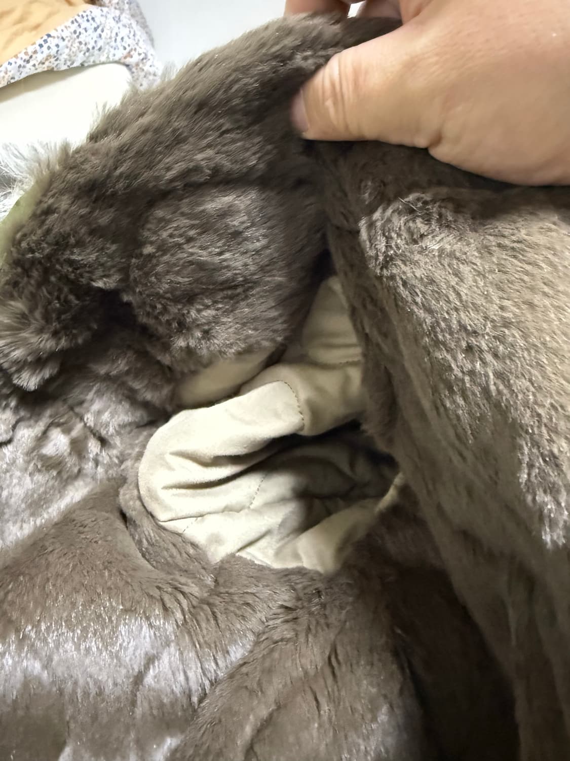 (여성) 이브 살로몬 M51 피쉬테일파카 (90) 상품이미지6