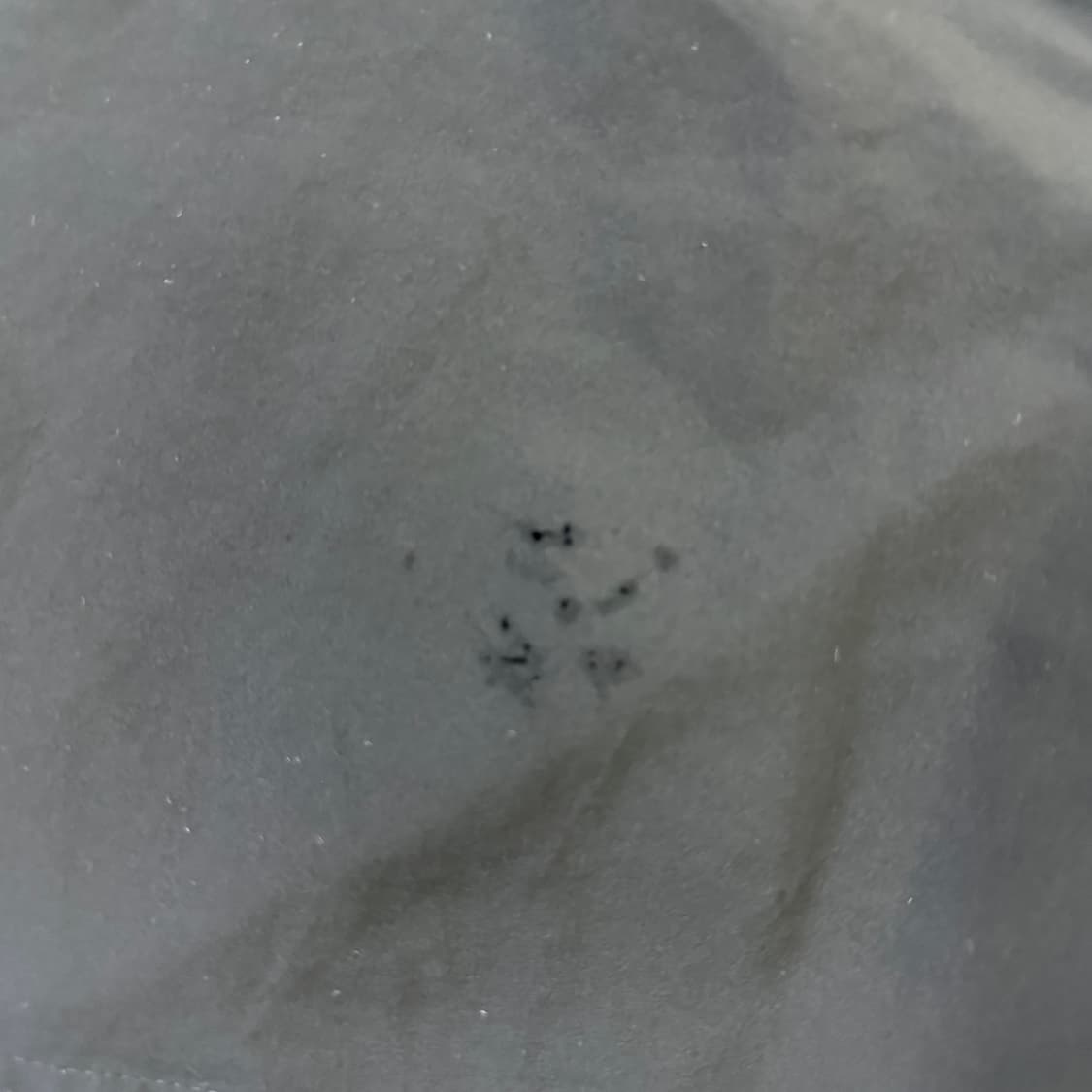 100 아디다스 우븐 반바지 쇼츠 0417D 상품이미지3