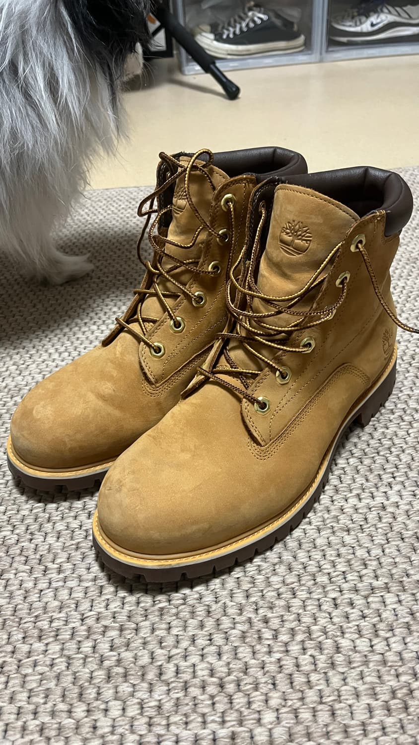 팀버랜드 6인치 부츠 275 상품이미지1