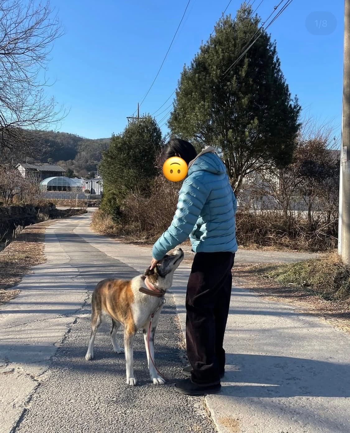 아크테릭스 세륨 후디패딩 우먼 M 상품이미지8