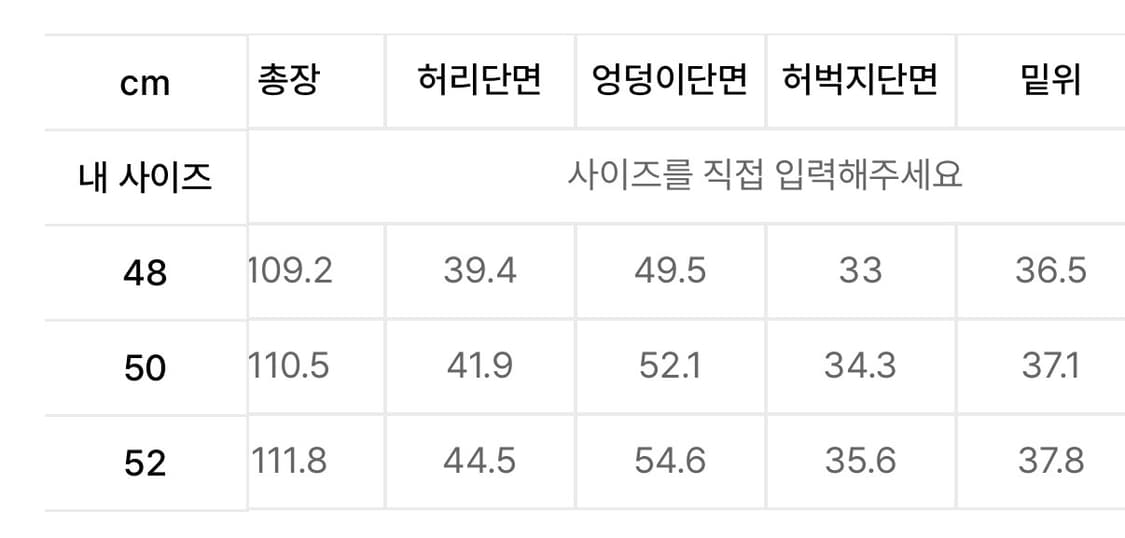 [새상품] 노이어 핀 스트라이프 플레어 슬랙스 상품이미지4