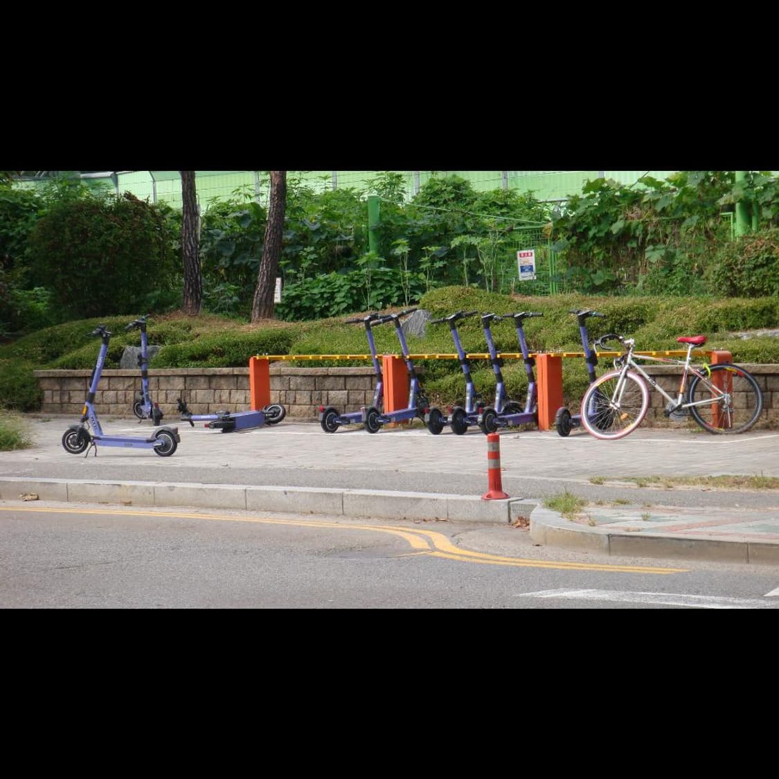 소니 DSC-T300 메탈릭 레드❤️+ 전용케이스 디카 빈티지디카 상품이미지3