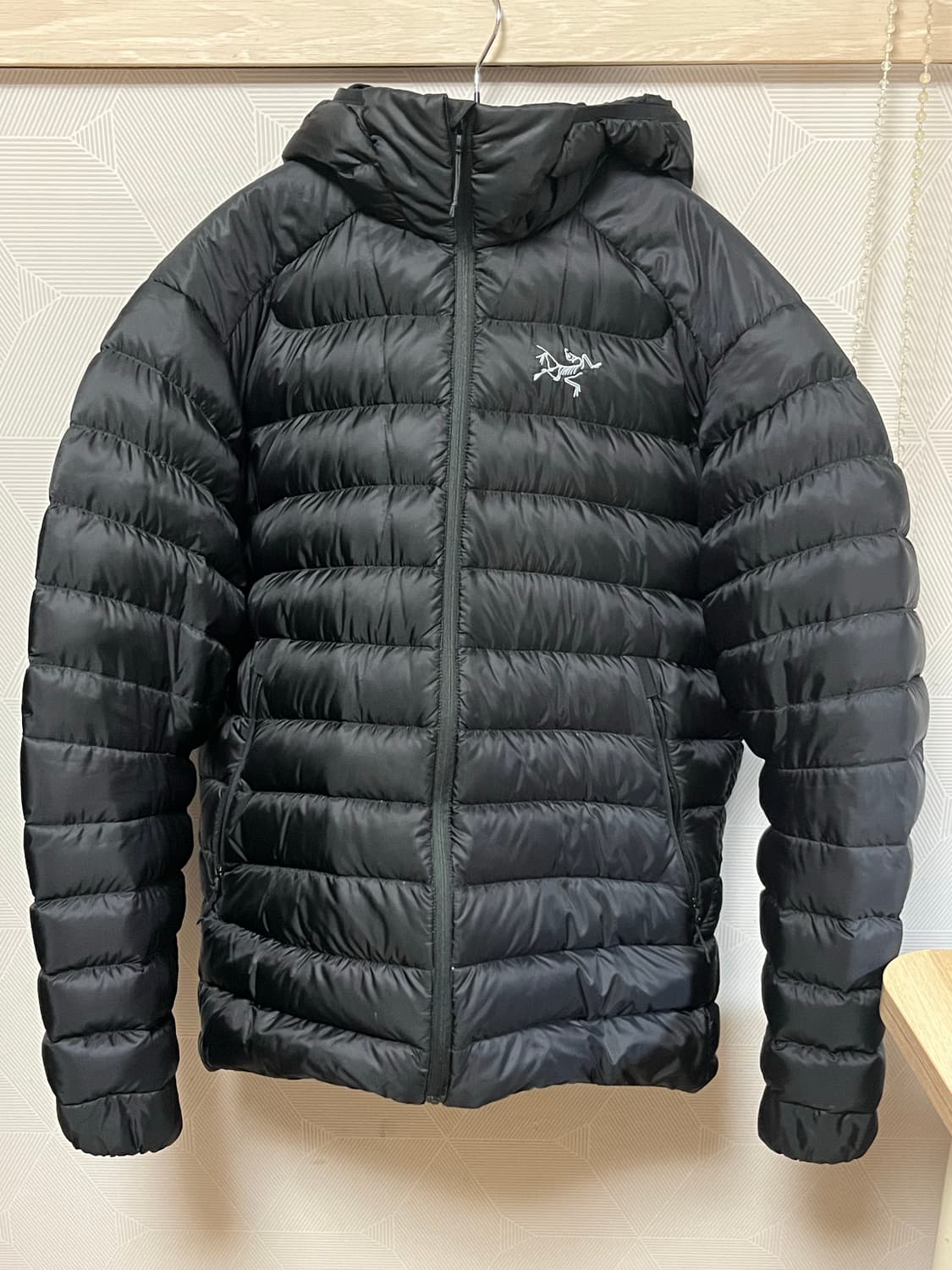 아크테릭스 세륨 후디 M사이즈 상품이미지3