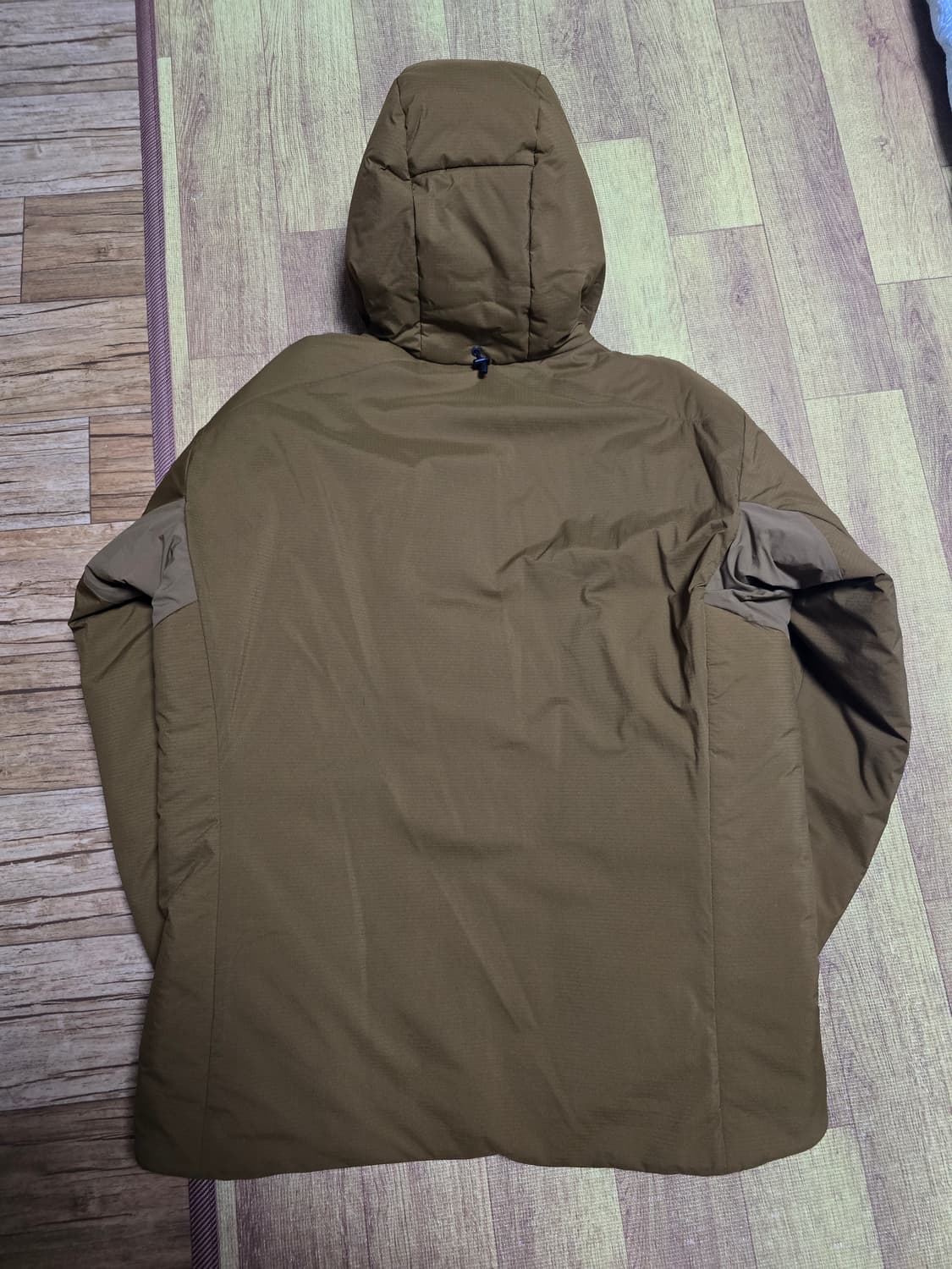 아크테릭스 아톰 AR 후디 렐릭 상품이미지2