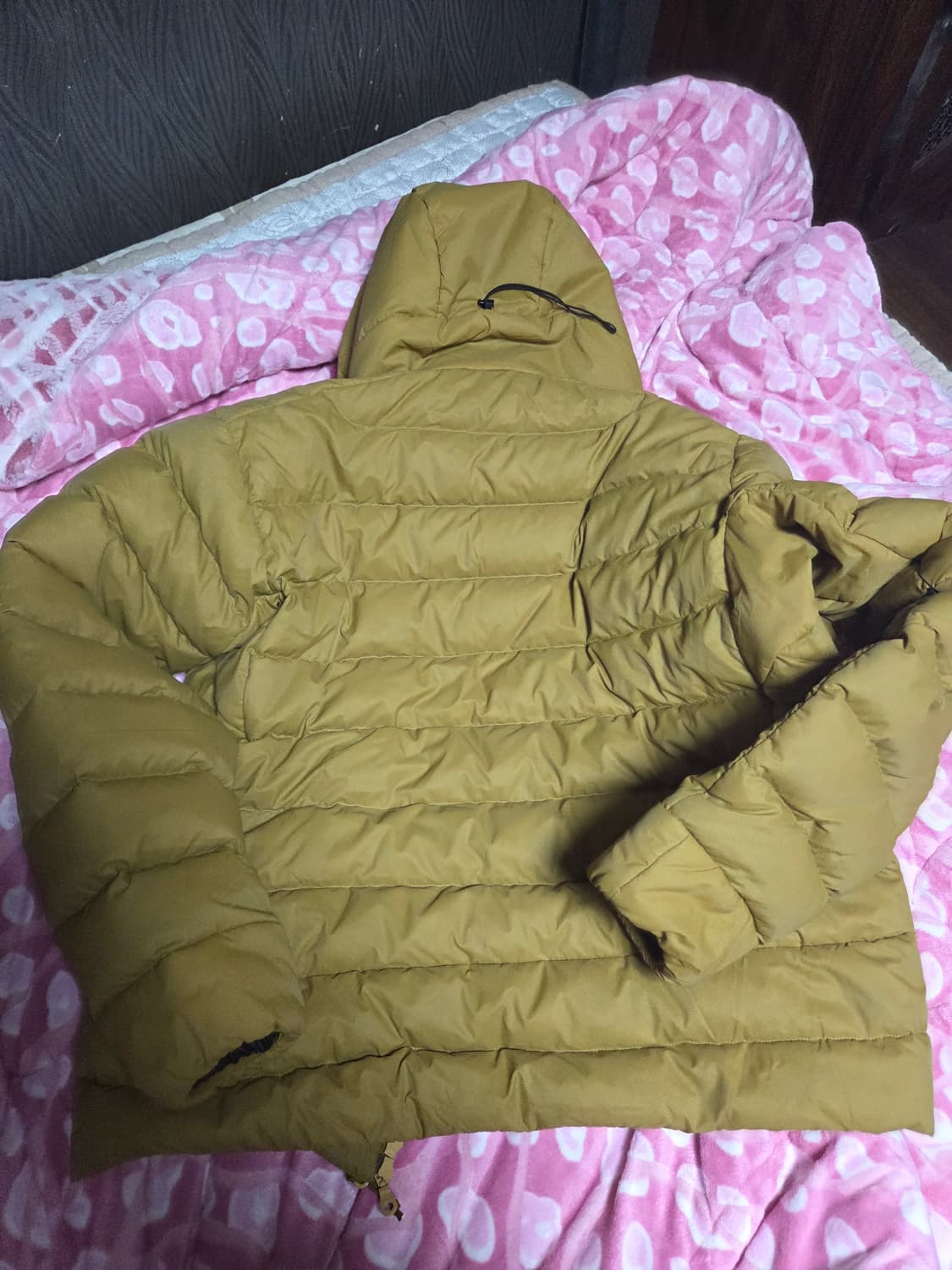 아크테릭스 24k 골드 토륨 l 상품이미지7