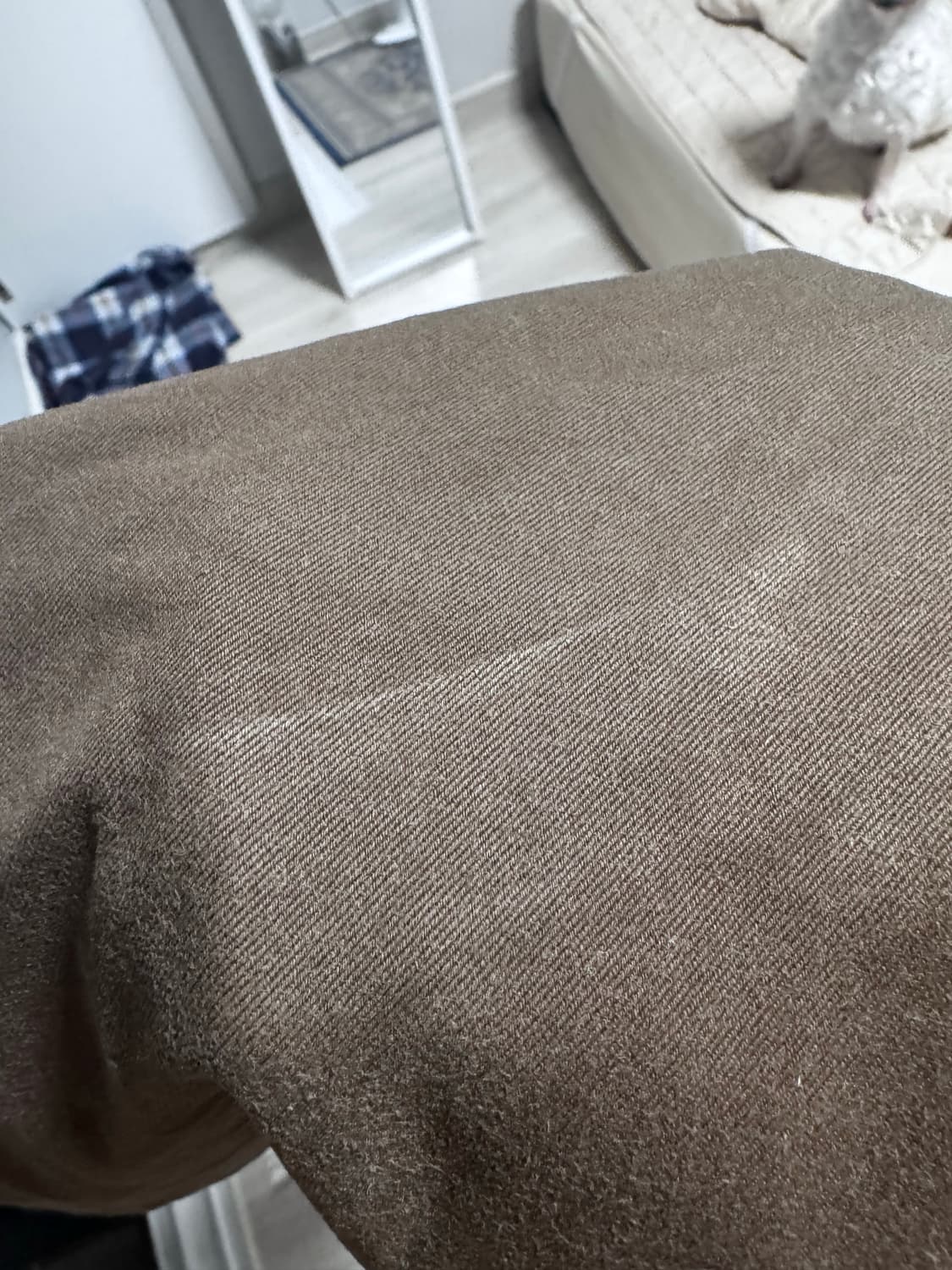 슈프림 핀업걸 치노팬츠 32 브라운 상품이미지6