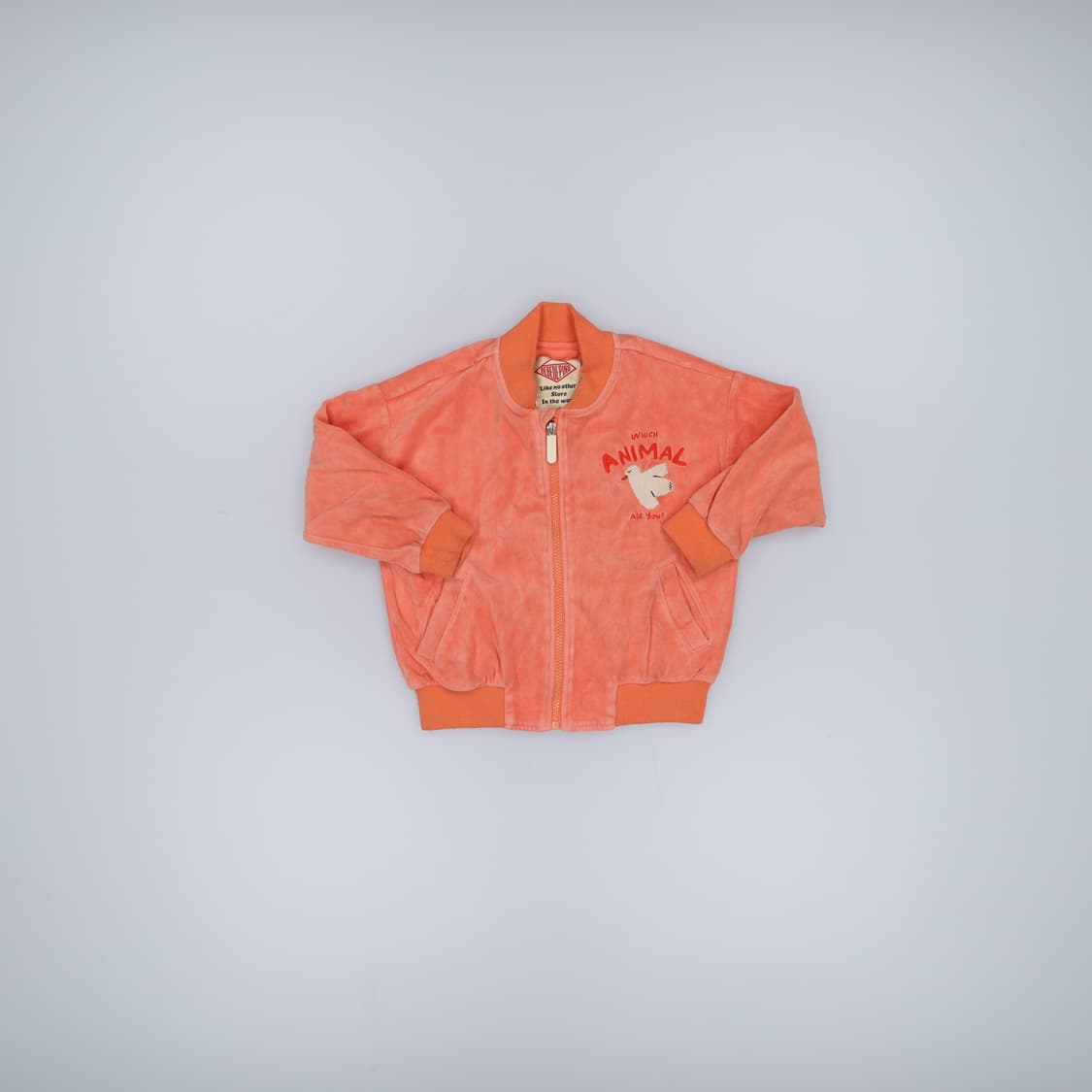 110 베베드피노 키즈 벨벳집업 0219H1 상품이미지1