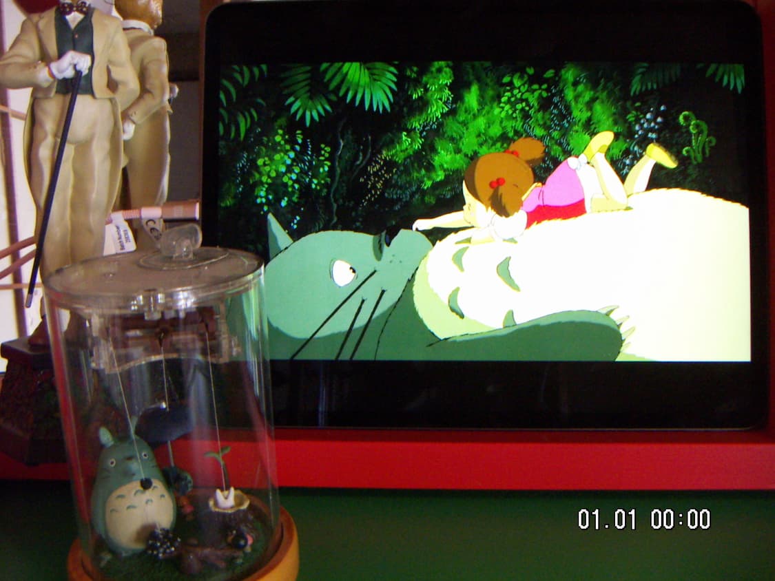 작례) Minolta 미놀타 디미지x31  DiMAGE X31  상품이미지5