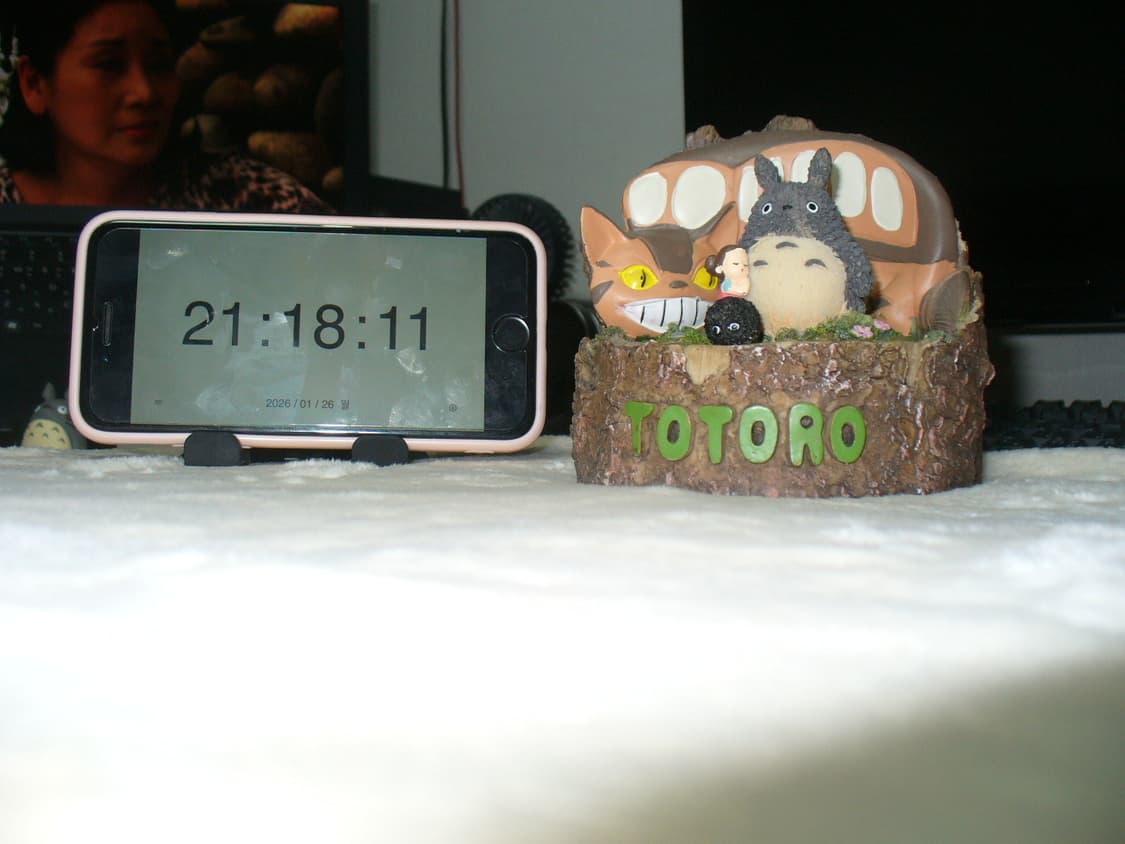 📸🎞️ 파나소닉 루믹스 DMC-L72 디카 판매 🎞️📸  상품이미지9