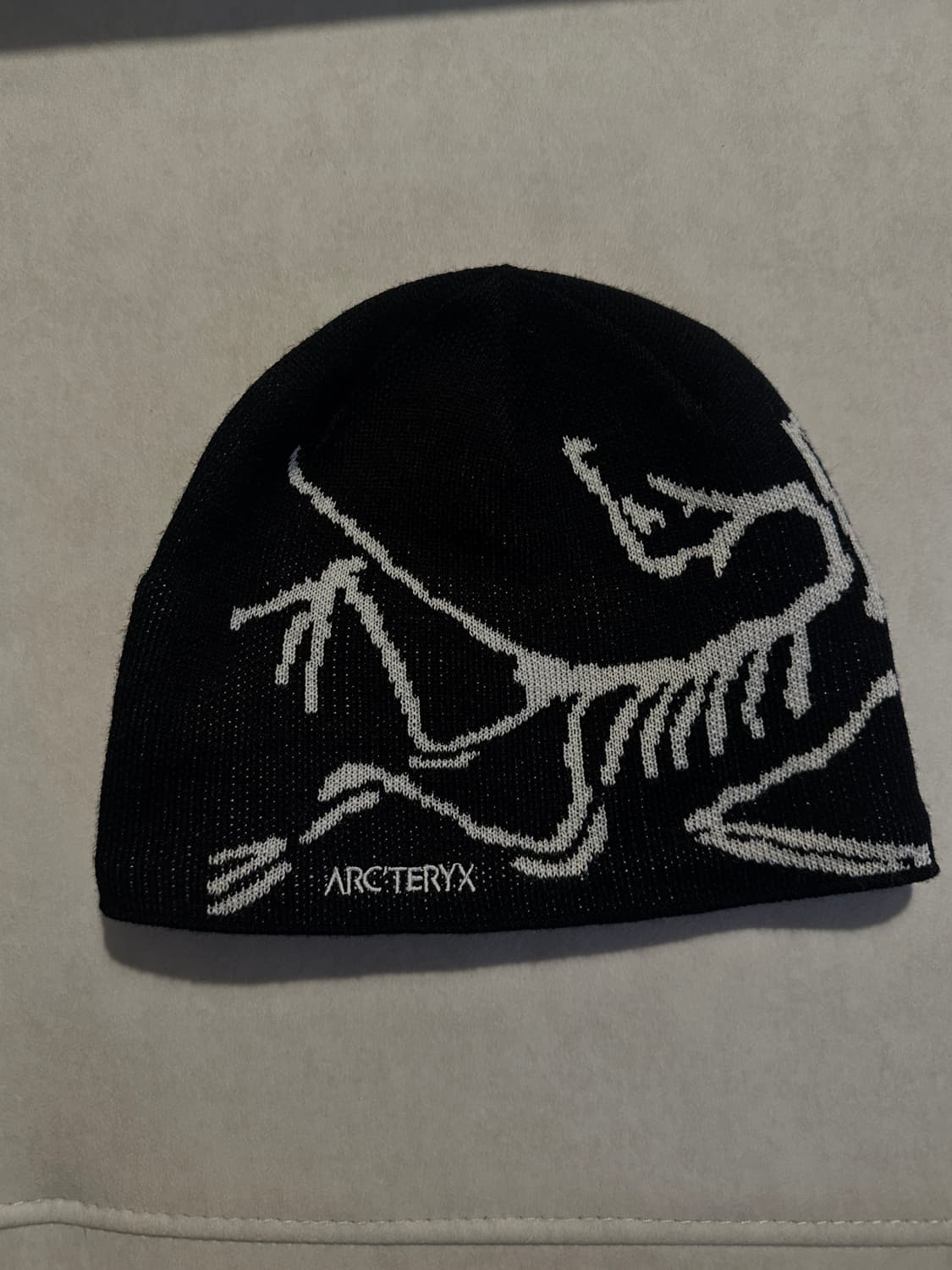 아크테릭스 비니 상품이미지1