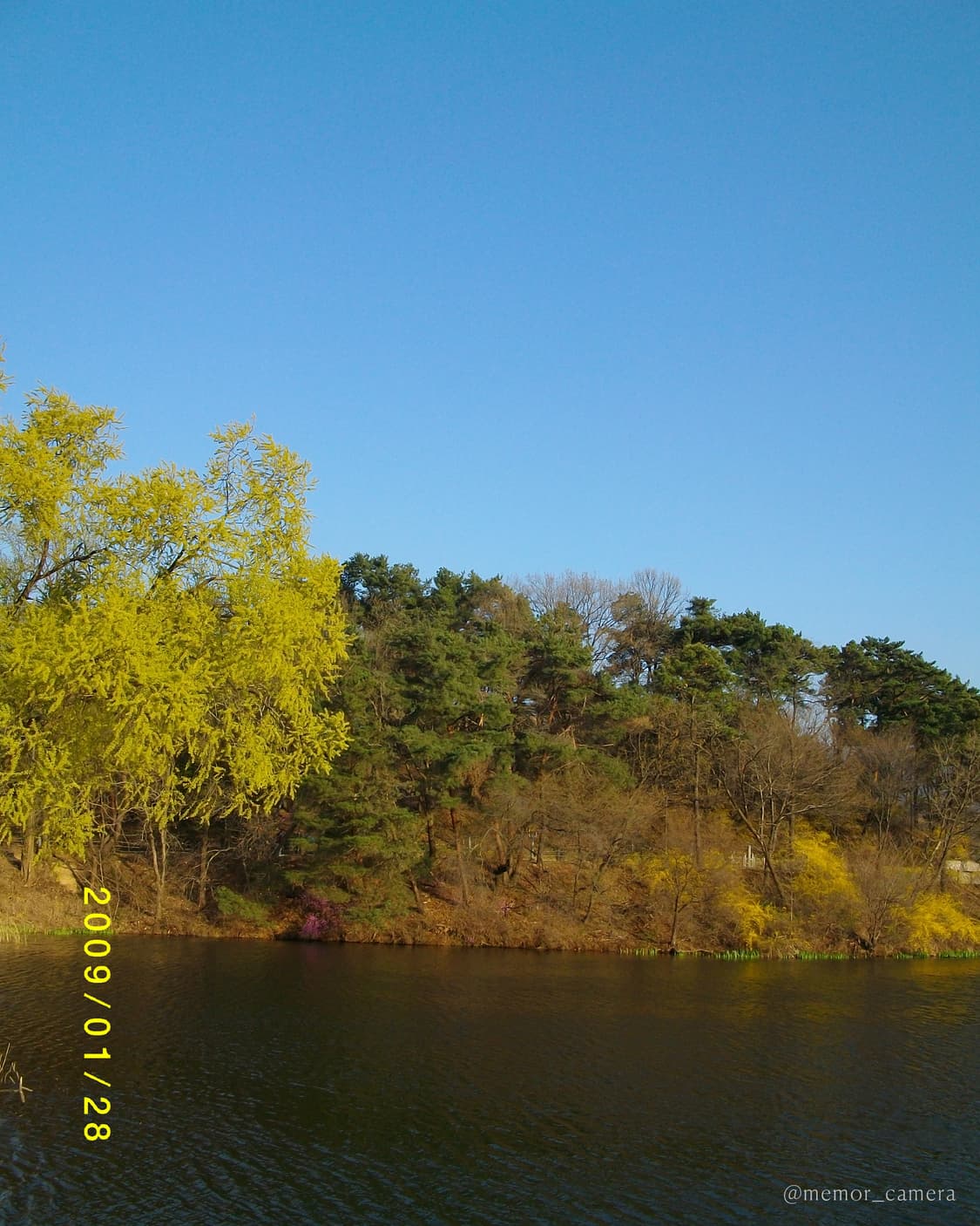 입문자추천/뽀용작례🌸PENTAX Optio E75 펜탁스 디카 카메라 상품이미지9