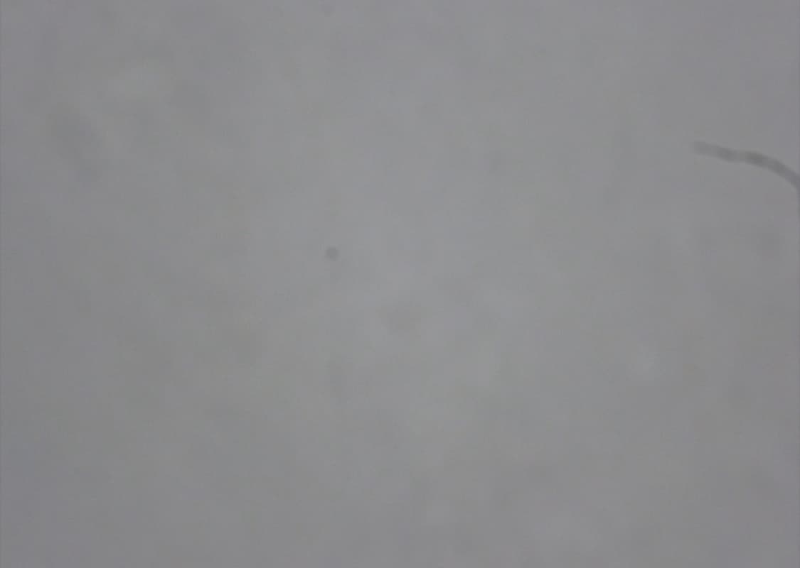 츄 핑크디카 💕 루믹스 Lumix S1 외관 깨끗 풀박스 디카 상품이미지8