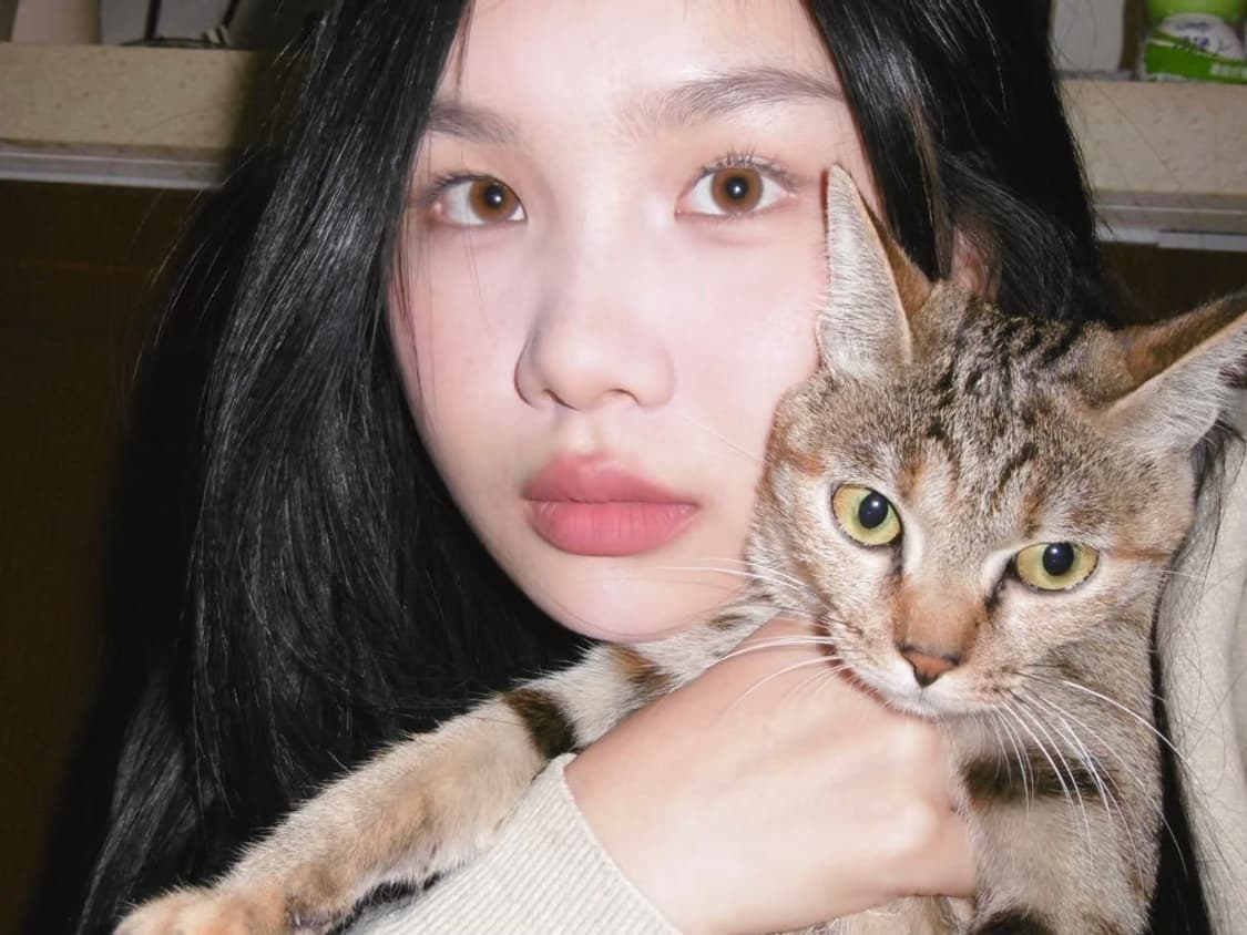 플립디카 💥 파나소닉 루믹스 sz10 상품이미지3