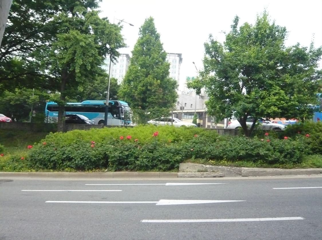 Panasonic lumix DMC-FX55 상품이미지8