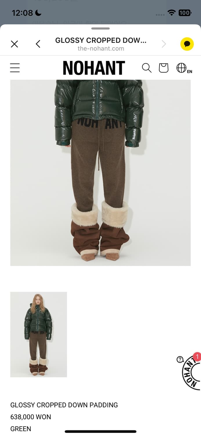 노앙 글로시 구스다운패딩 새상품 상품이미지2