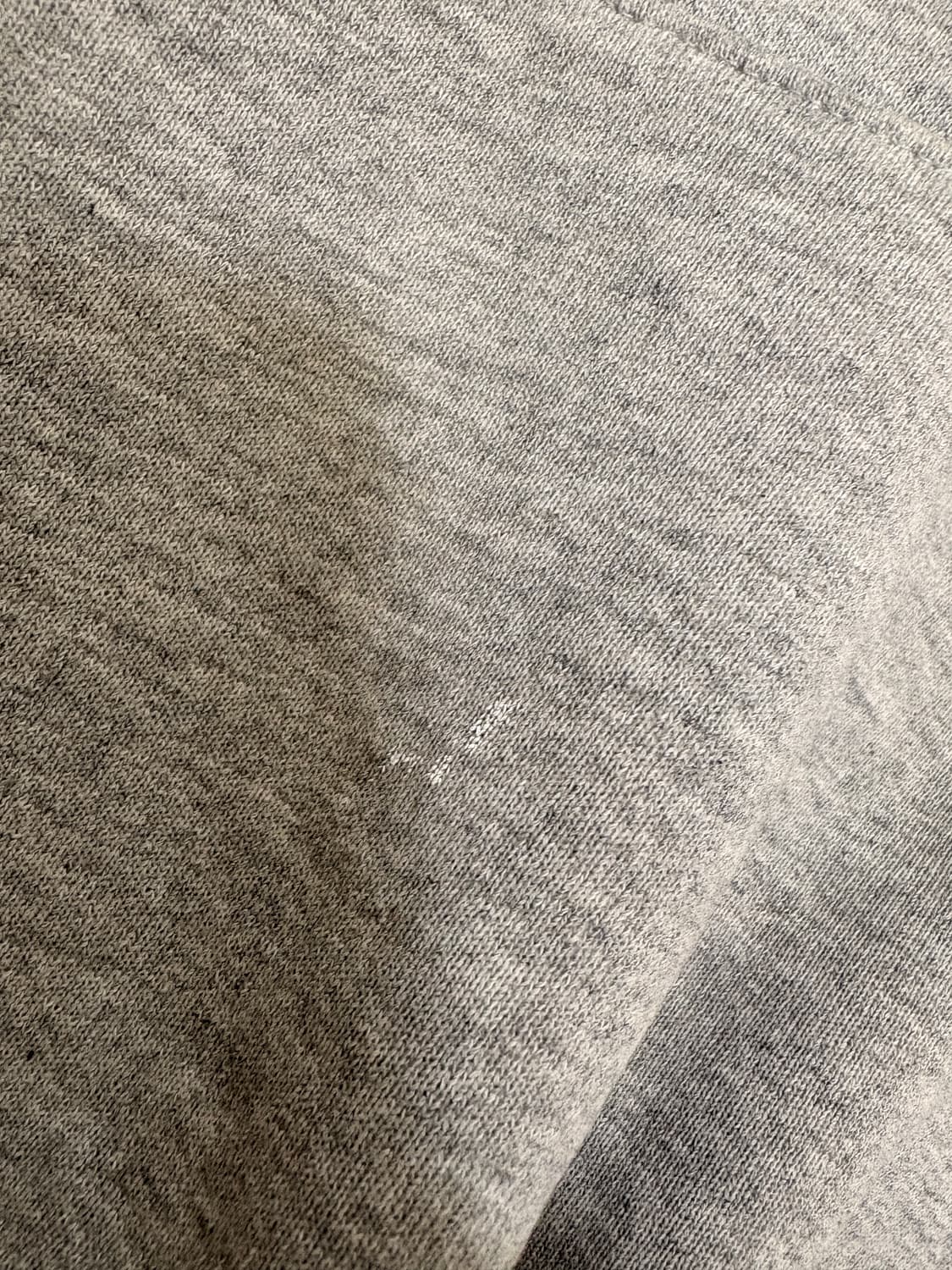 러셀 에슬레틱 후드티 상품이미지4