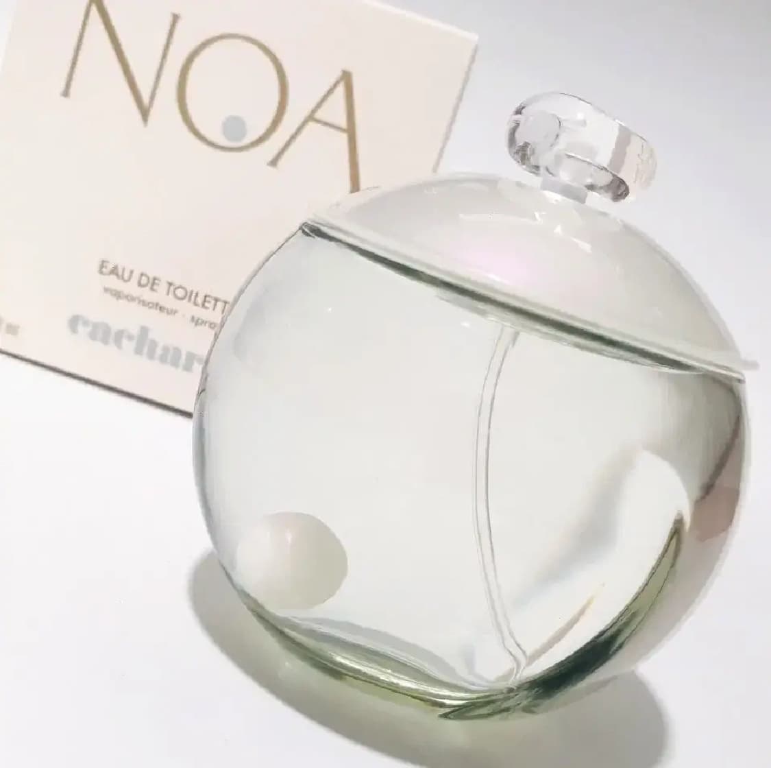 까사렐 노아 EDT 100ml 상품이미지3