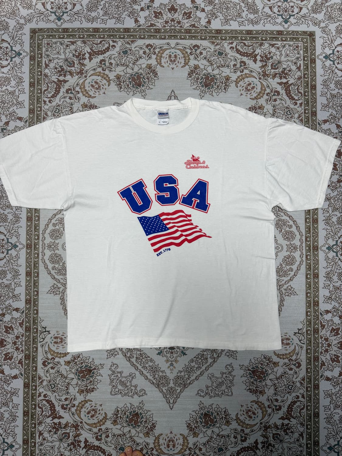 Gildan 헤비코튼 성조기 반팔티 XL 상품이미지1