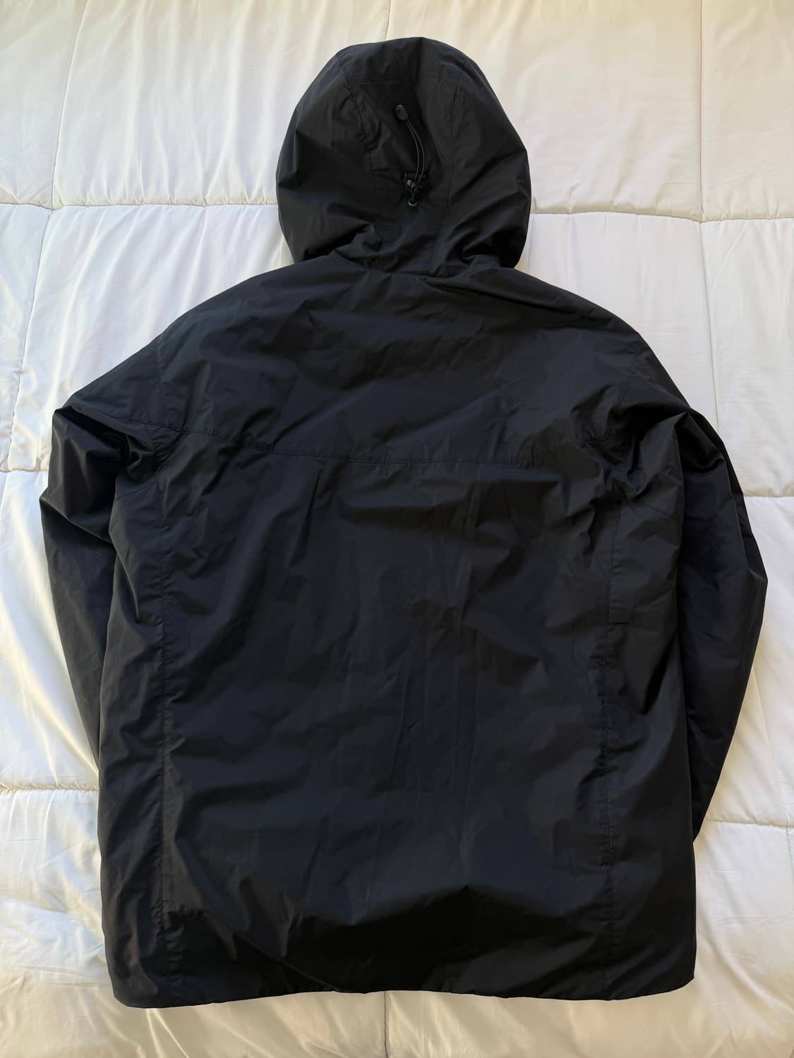 [L] 아크테릭스 리프 콜드 후디  상품이미지2