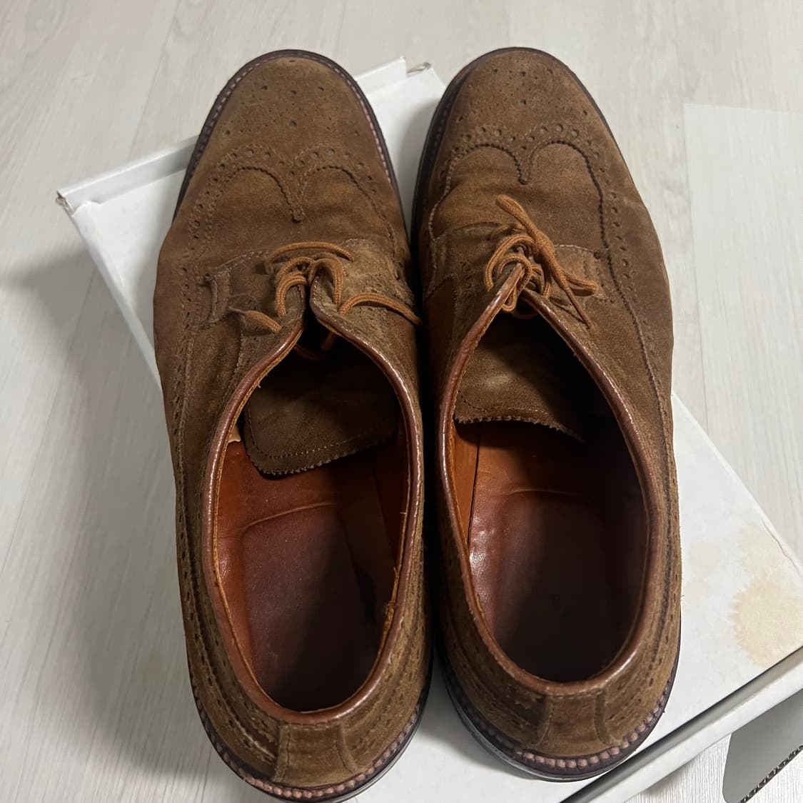 알든97785F 10D(280-285사이즈) 스너프 스웨이드 윙팁 더비  상품이미지2