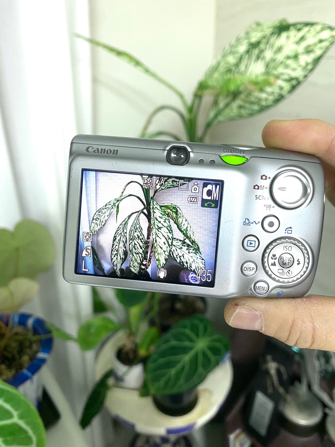 [예약]캐논 익서스 IXUS 970 IS 디지털 카메라 (IXY 820) 상품이미지5