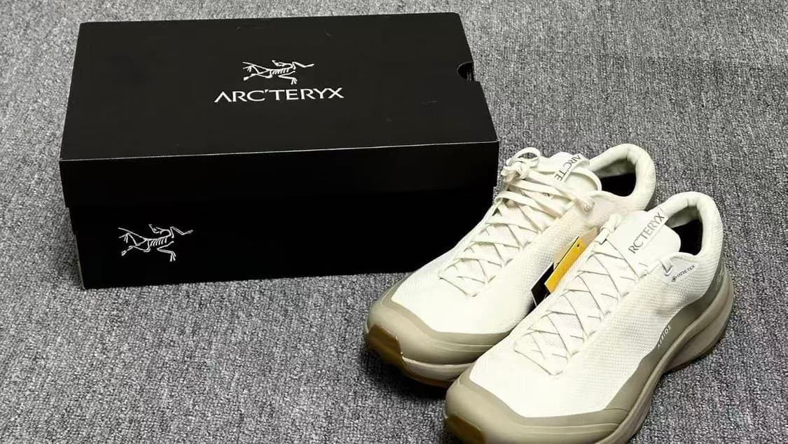 아크테릭스 에어리어스 FL 2 고어텍스 아크틱 실크 스모크 상품이미지4