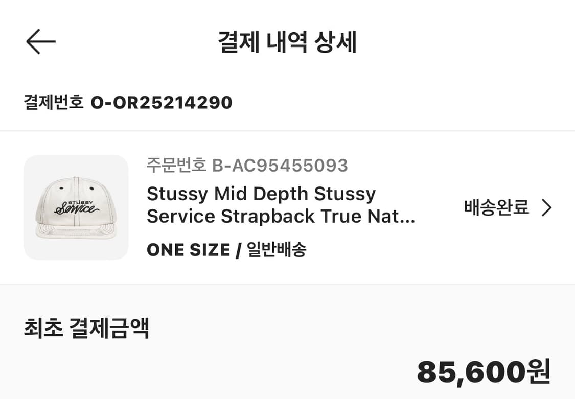 스투시 볼캡 상품이미지5