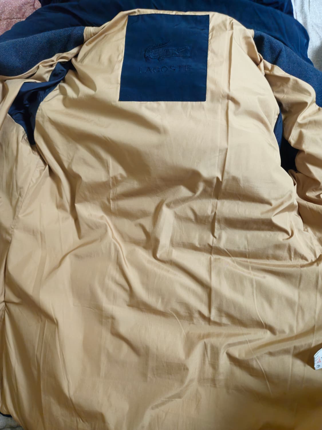 여성 라코스테 덕다운 패딩 네이비 34 상품이미지5