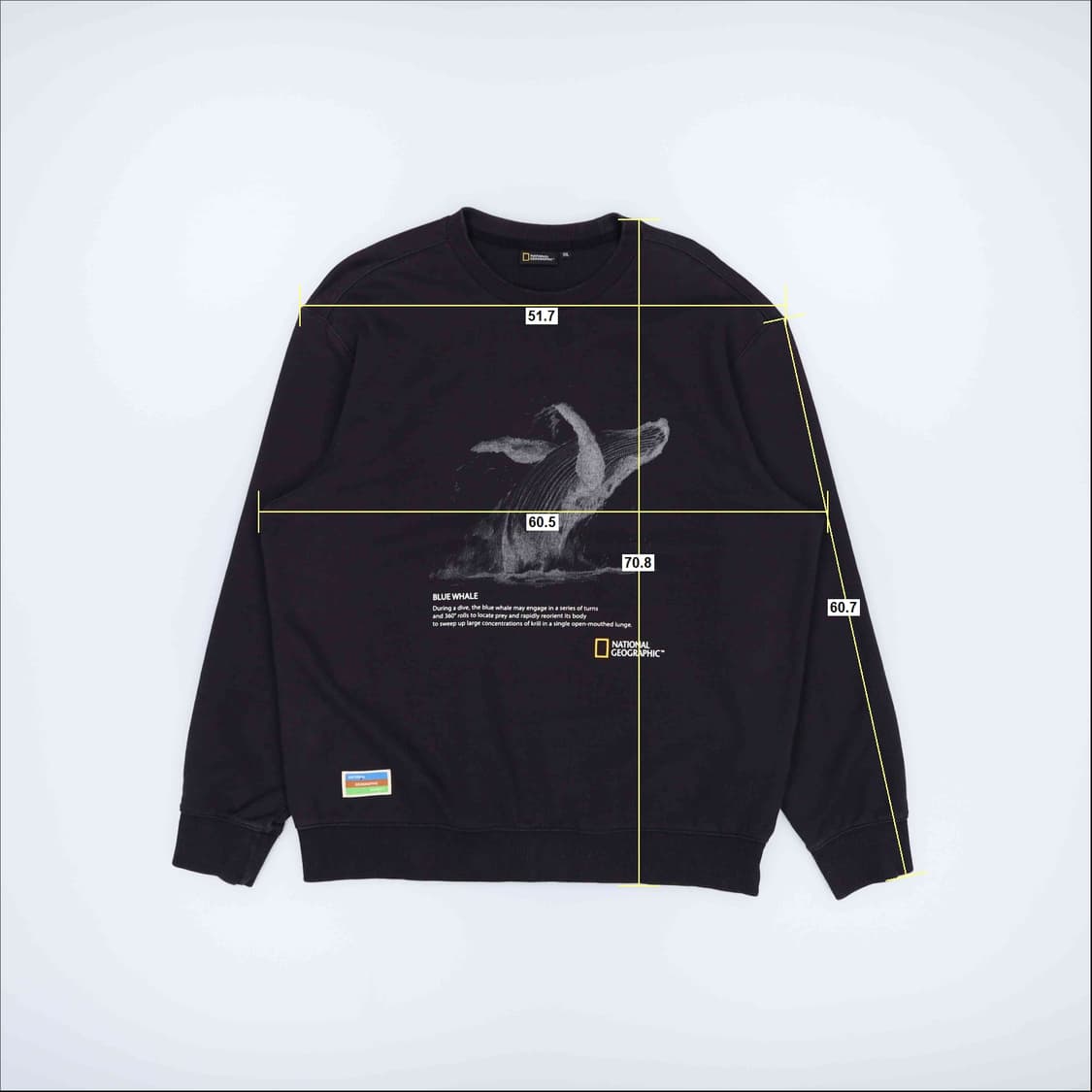 [110] 내셔널지오그래픽 코어티 고래 맨투맨 티셔츠 N6872 상품이미지7