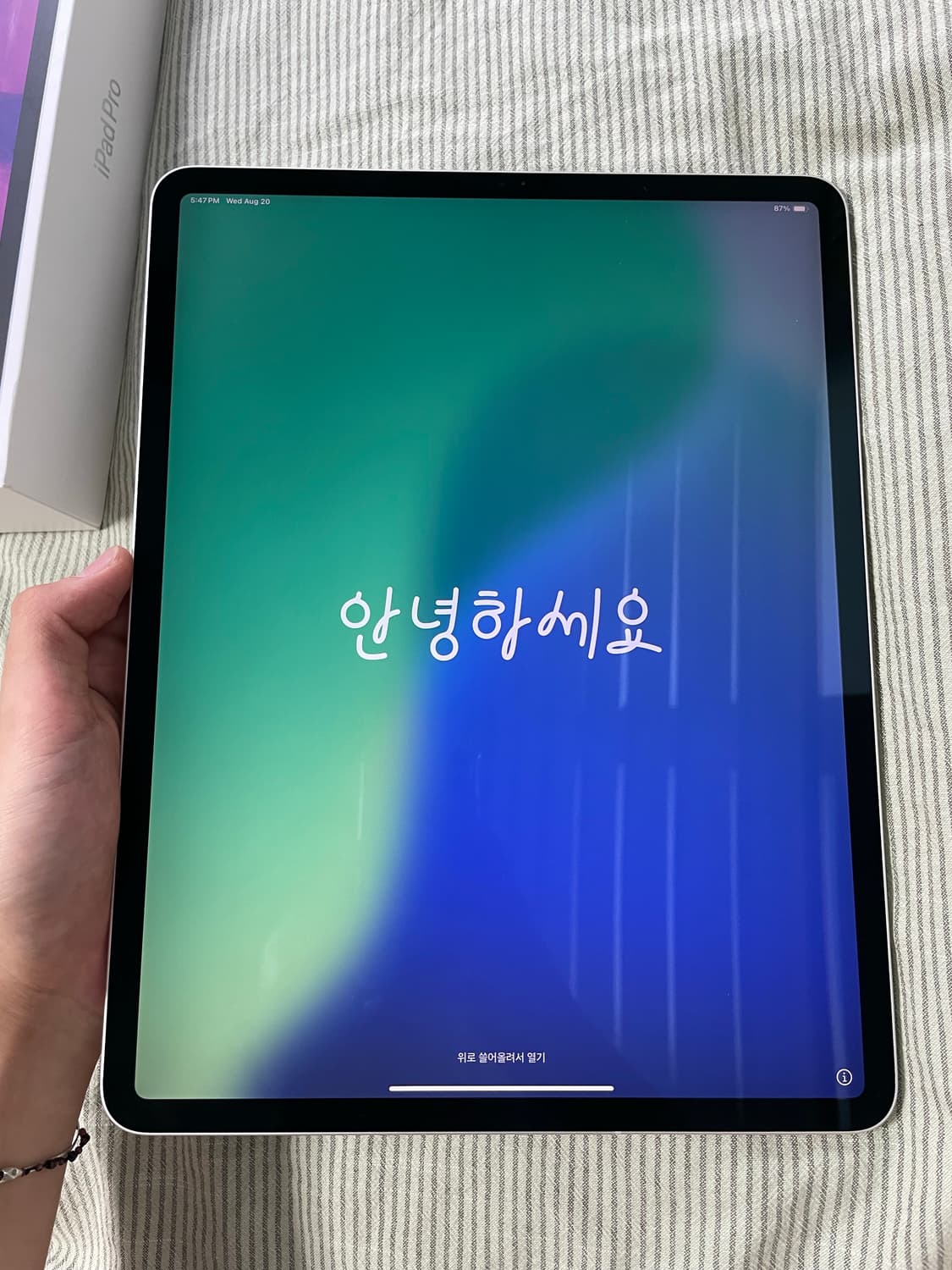 아이패드 프로 12.9 4세대 셀룰러 256GB 실버 + 애플펜슬 2세대 상품이미지3