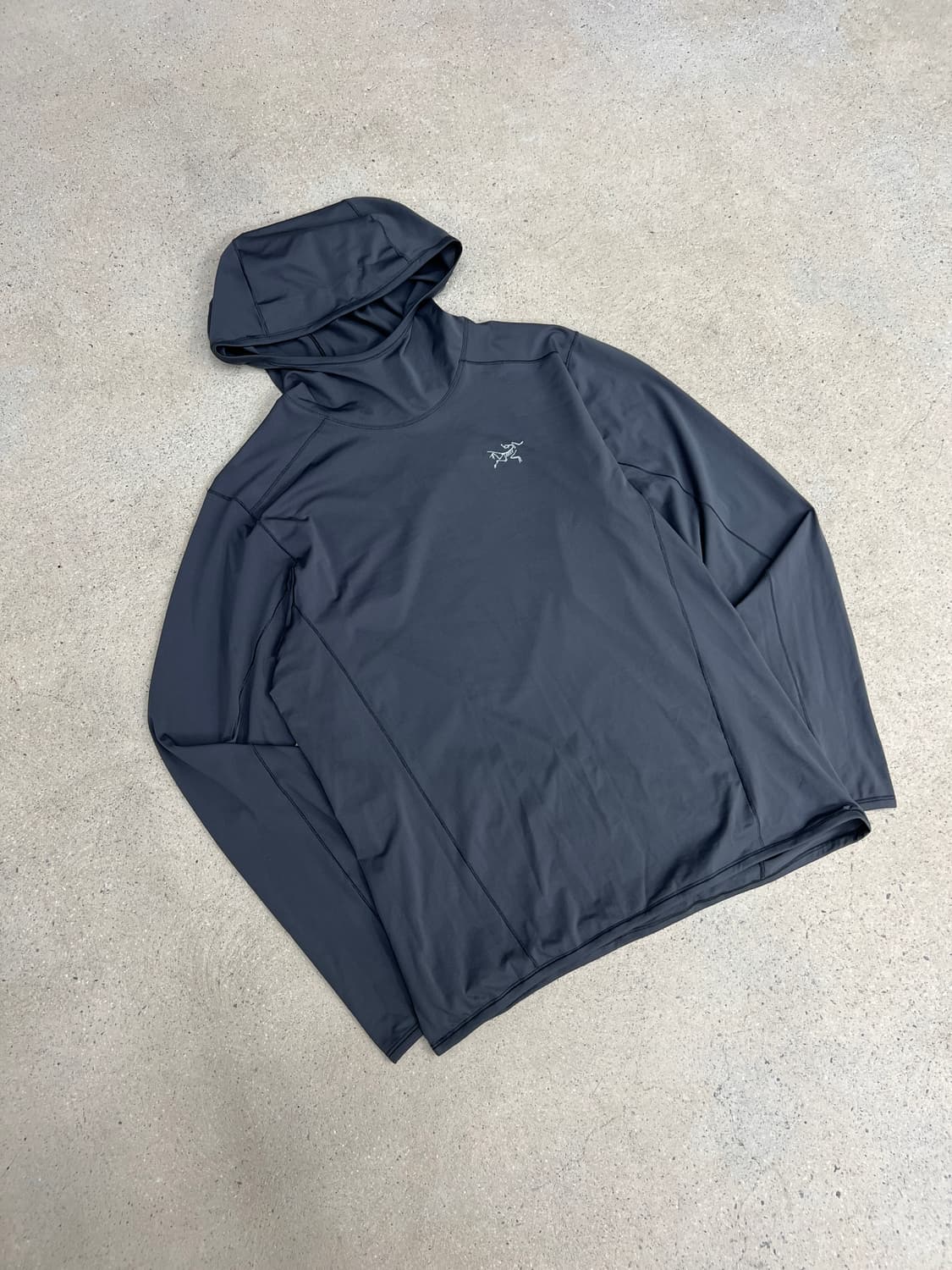 아크테릭스 페이직 선 후디 상품이미지3