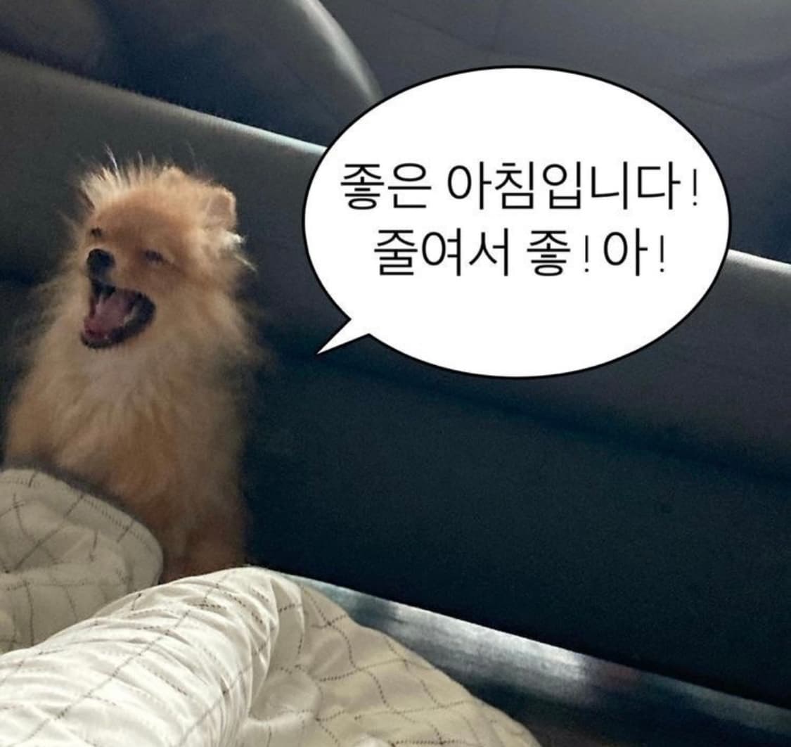 삼성 왕조 유니폼 구합니다 상품이미지1
