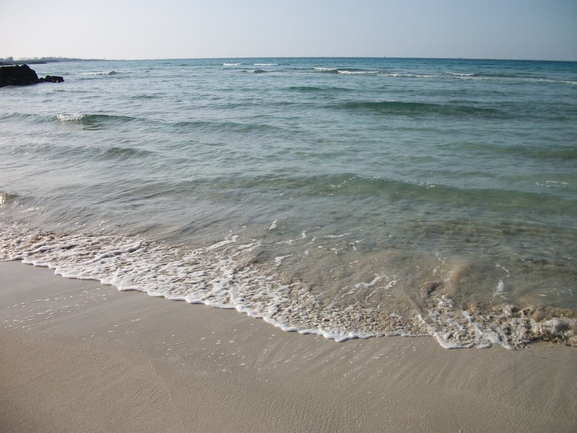 코닥 이지쉐어 C182 상품이미지5