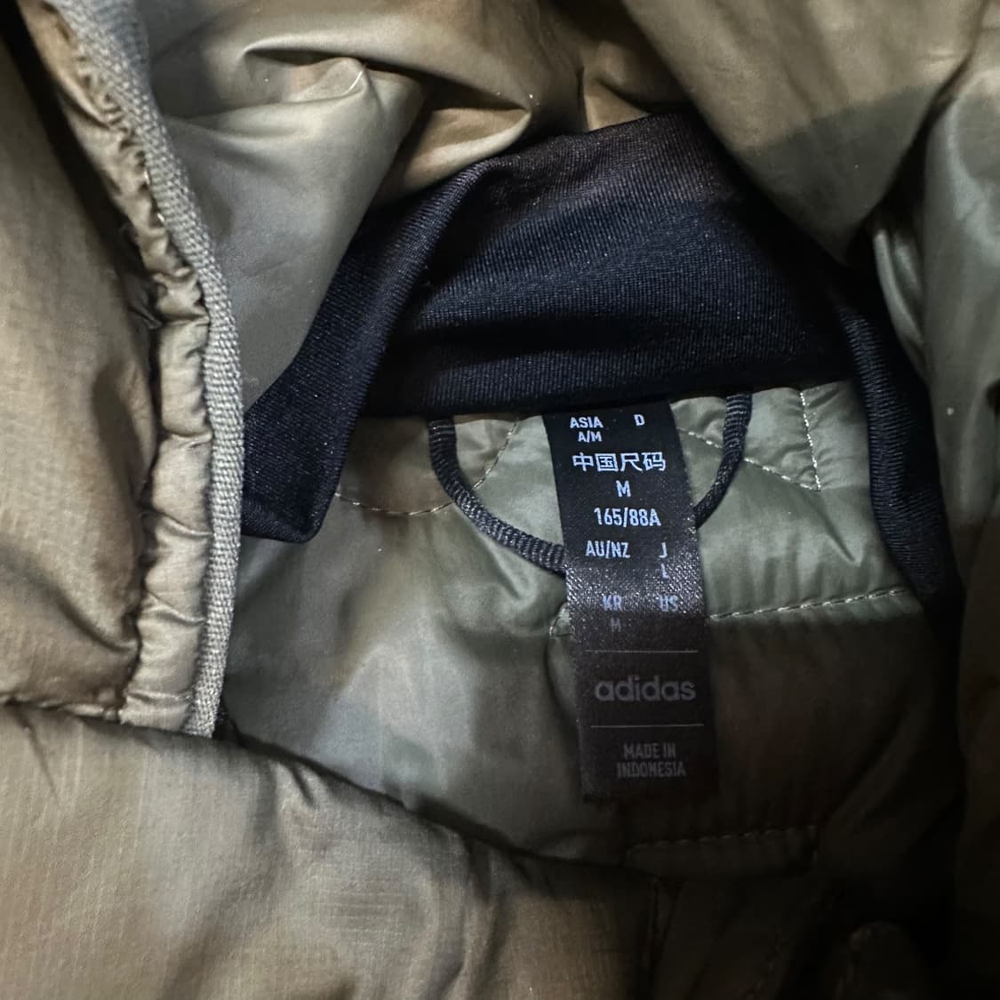 아디다스 테렉스 프리마로프트 패딩 상품이미지6