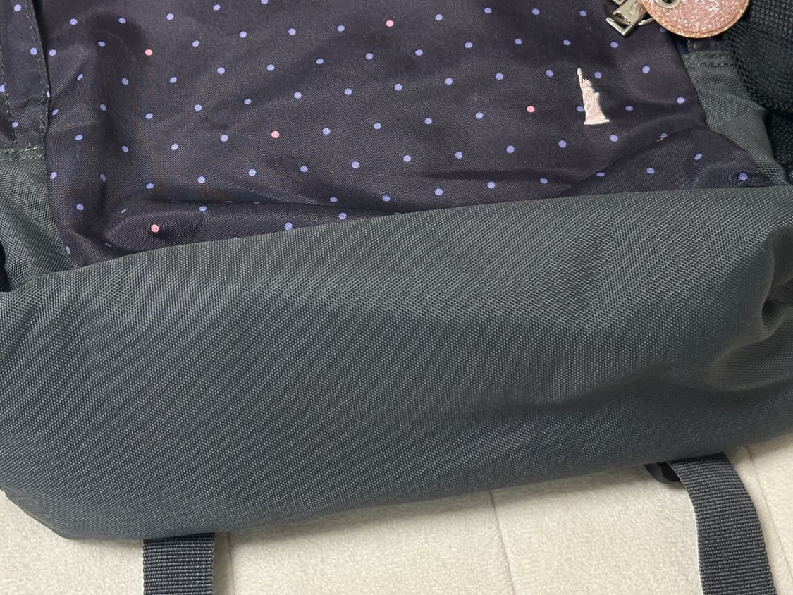 이스트보이 도트 백팩 상품이미지5