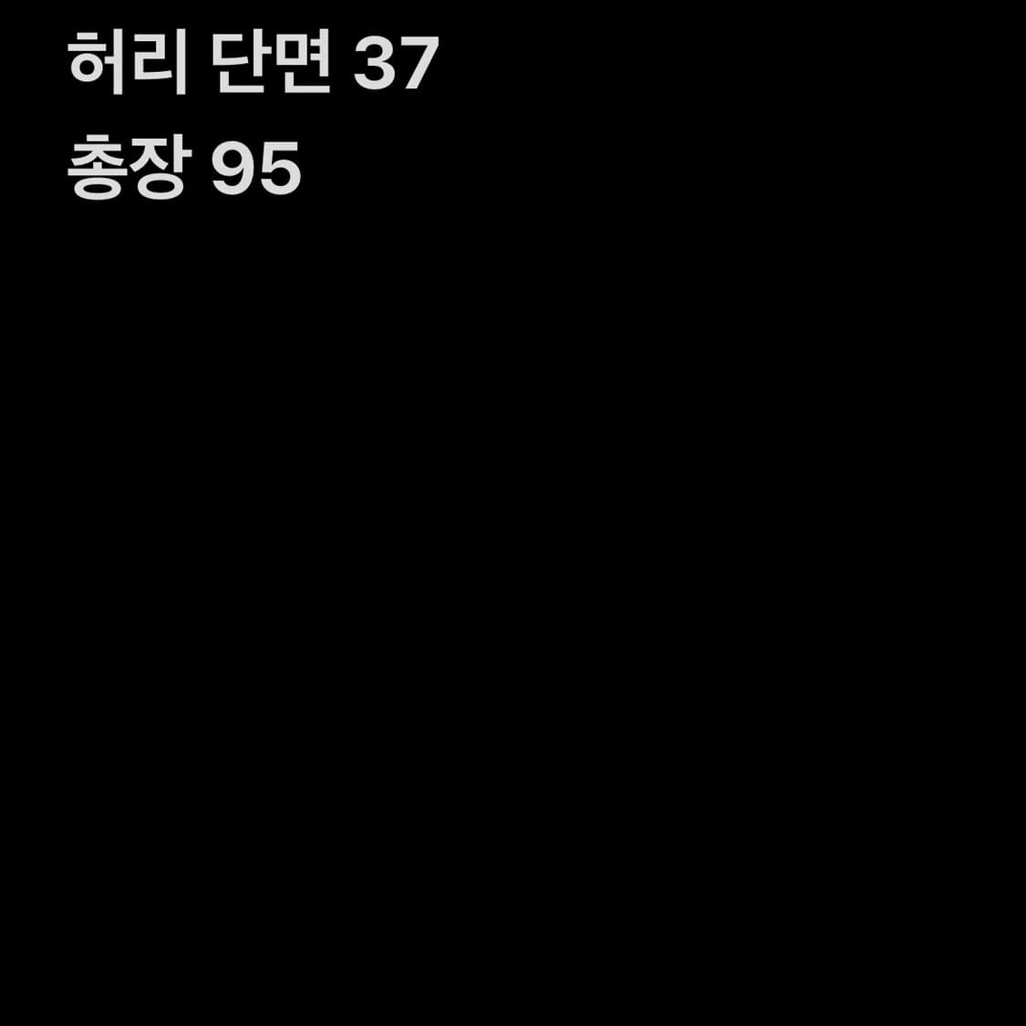 빈티지 포켓포인트 카고팬츠 상품이미지6