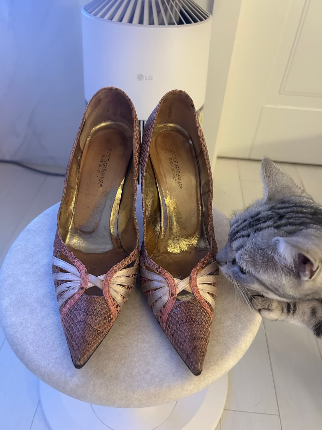 돌체앤가바나 힐 235mm 상품이미지1