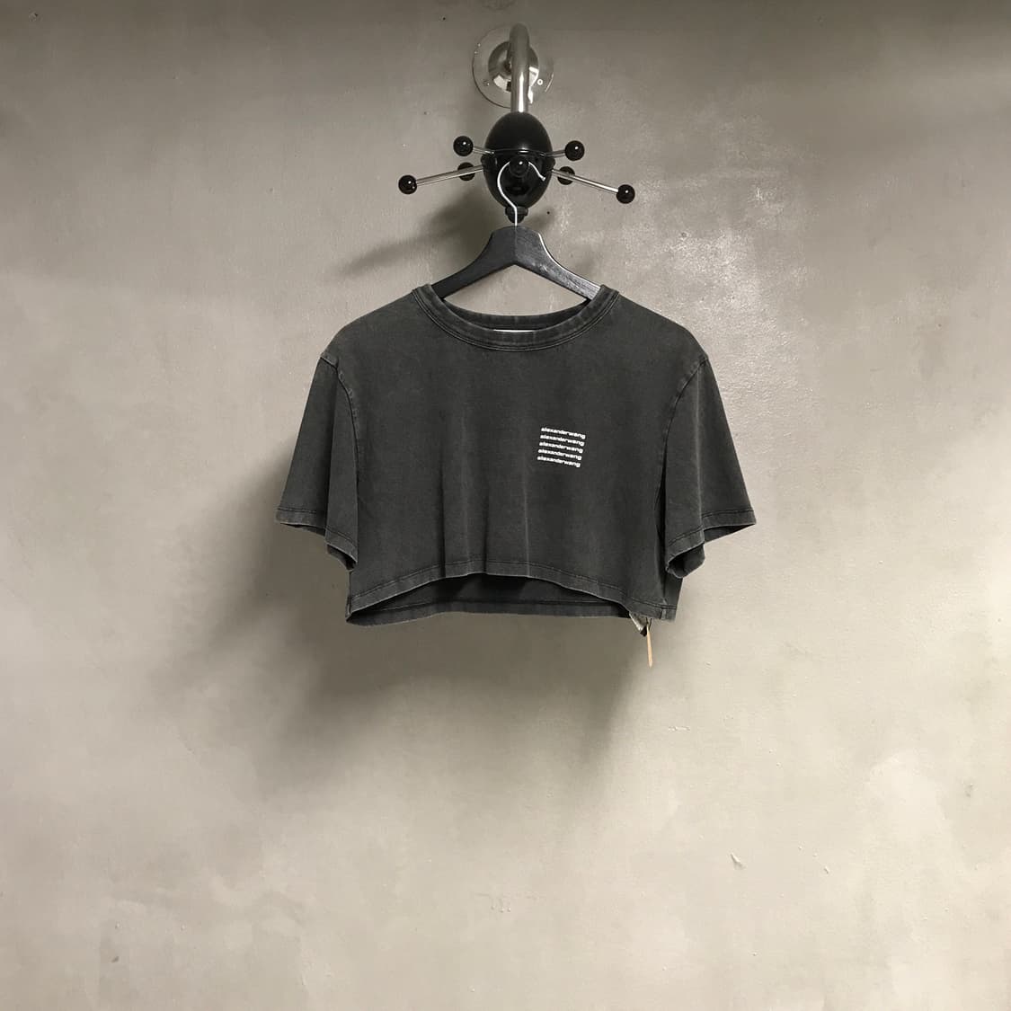 알렉산더왕 피그먼트 반팔 티셔츠 S(W) 상품이미지1