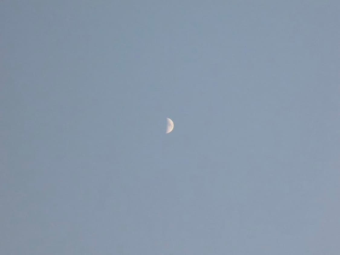 Panasonic dmc-fg10신품급)라이카 렌즈 렌콤팩트 디카 작례O 상품이미지8