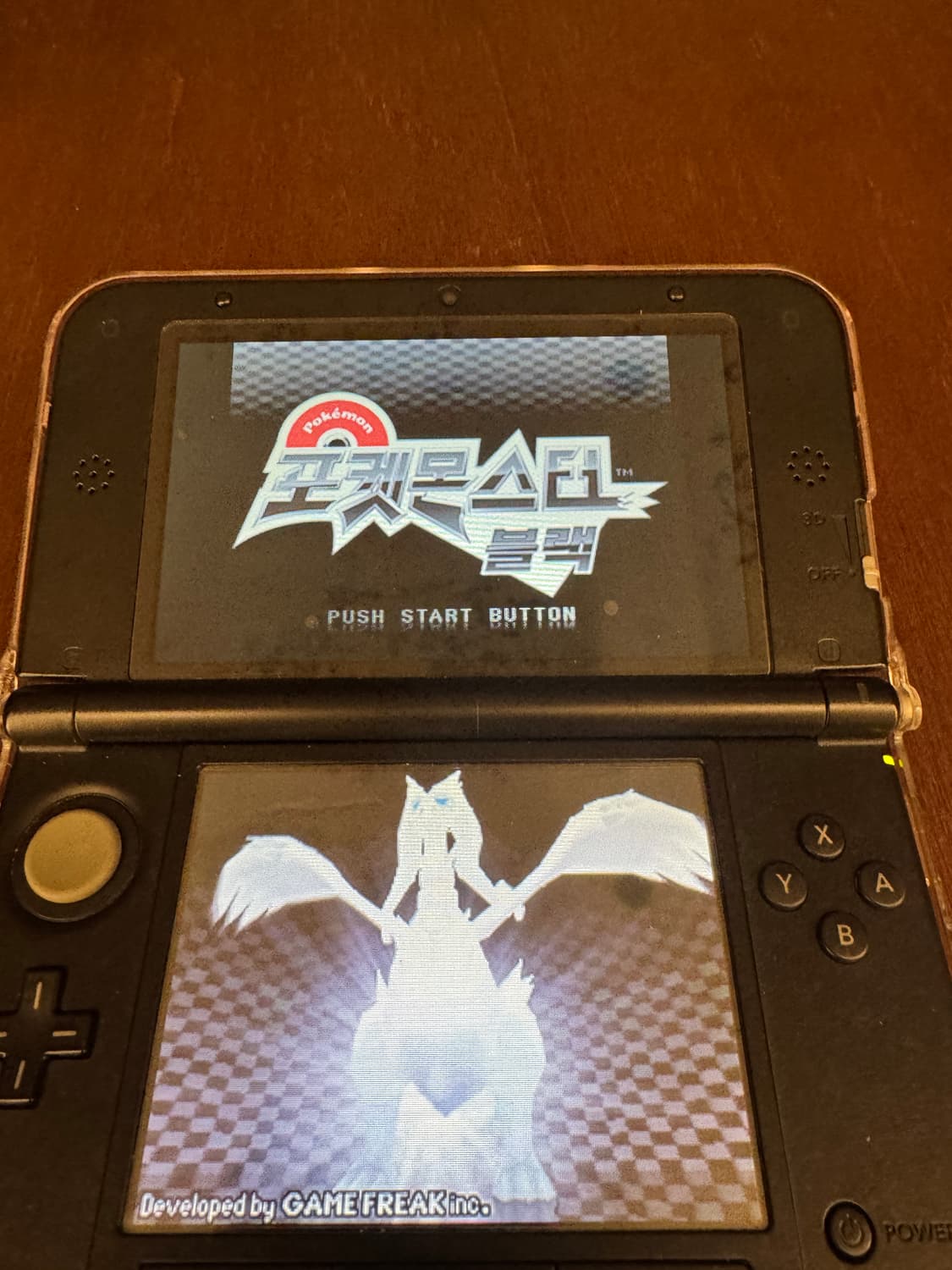 포켓몬스터 블랙 알칩 (배포 전설 포함) 상품이미지3