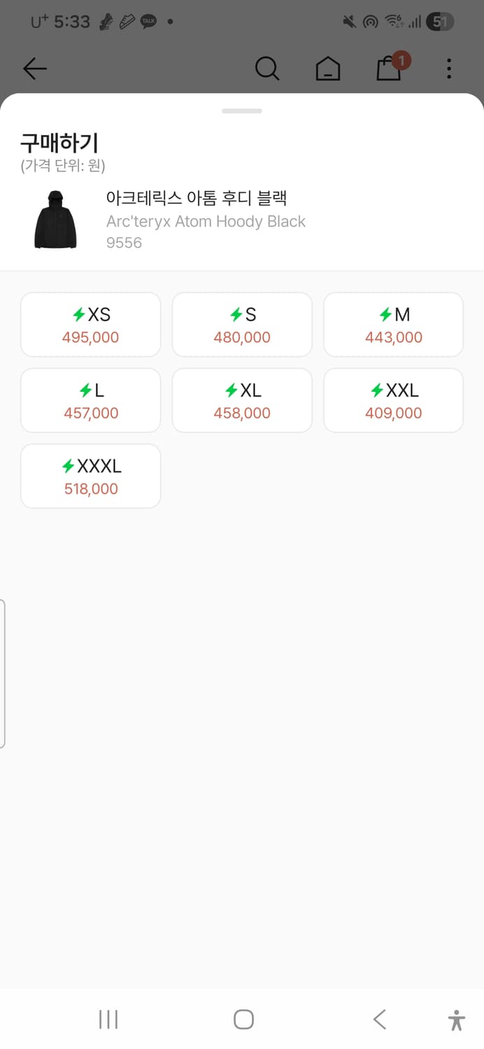 아크테릭스 아톰 상품이미지2