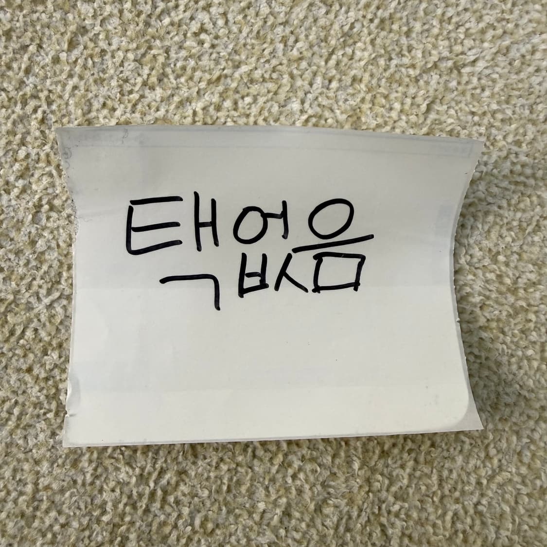 M 나이키 민트 맨투맨 0209T 상품이미지6