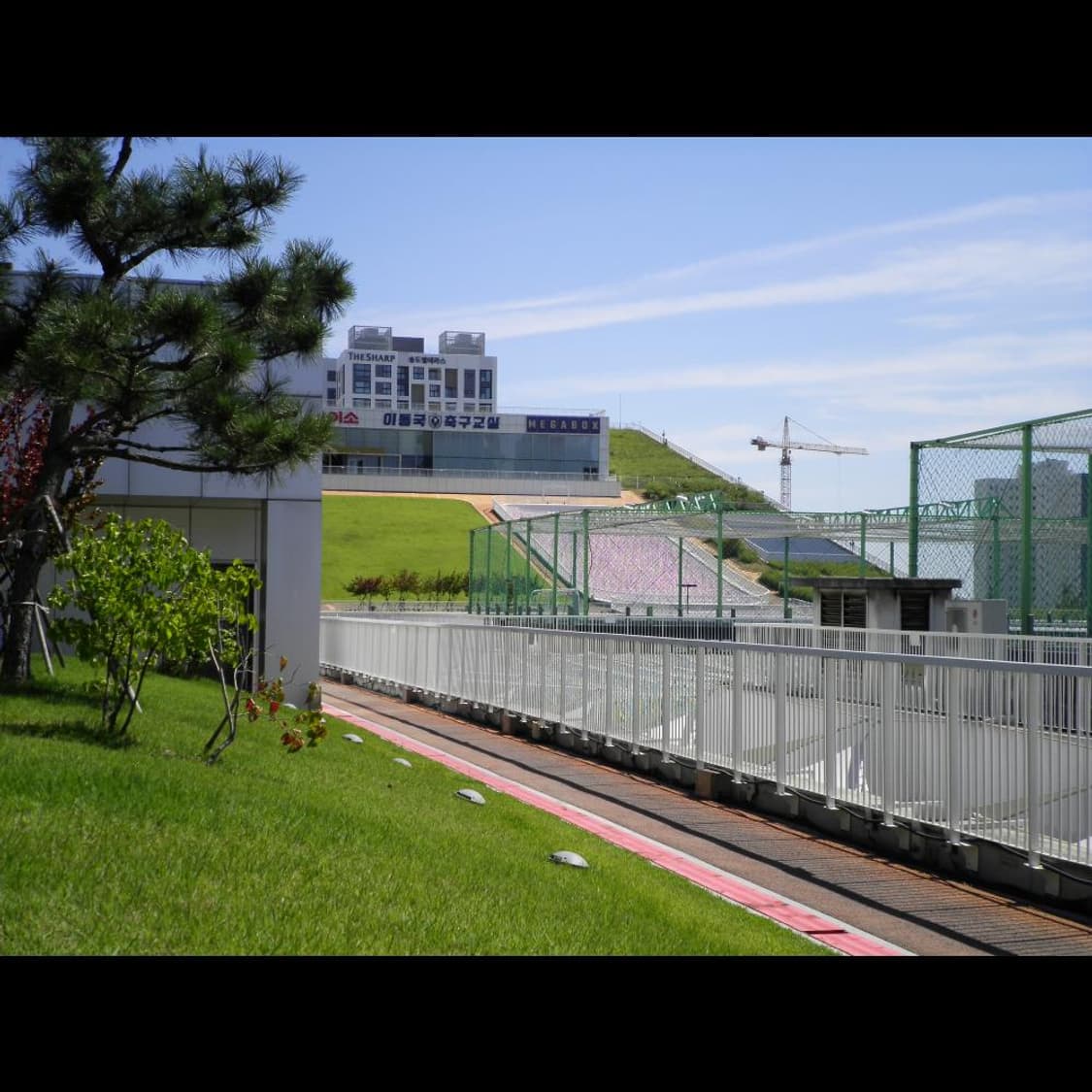 작례⭕️  산요 dsc-x1260 레드버건디🍷 (품번_BB196)  상품이미지4