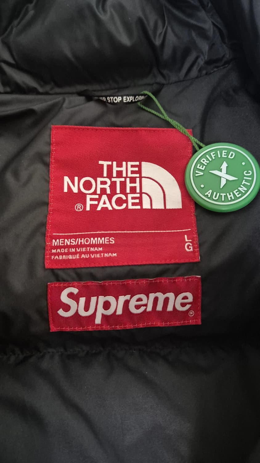 슈프림 노스페이스 페이퍼 눕시 L 상품이미지4